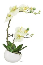 Orchidée factice 2 hampes coupe céramique H45cm touché réel Crème vert - couleu