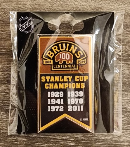 Boston Bruins Stanley Cup Champion Banner Collector Pin Lapel Button NHL NEW