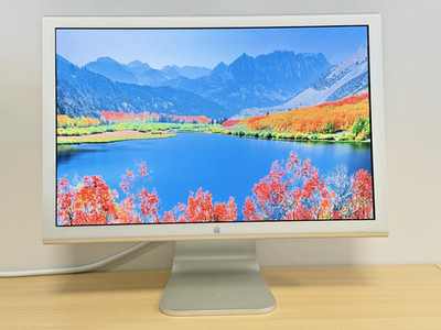 Apple Cinema Display 20 Zoll - A1081 - Super Bildqualität