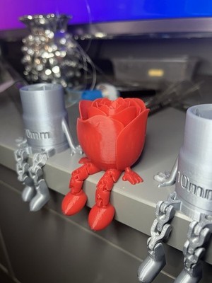 3D-gedruckte artikulierte Rose mit Beinen sitzend im Regal Valentinstag Geschenk sie