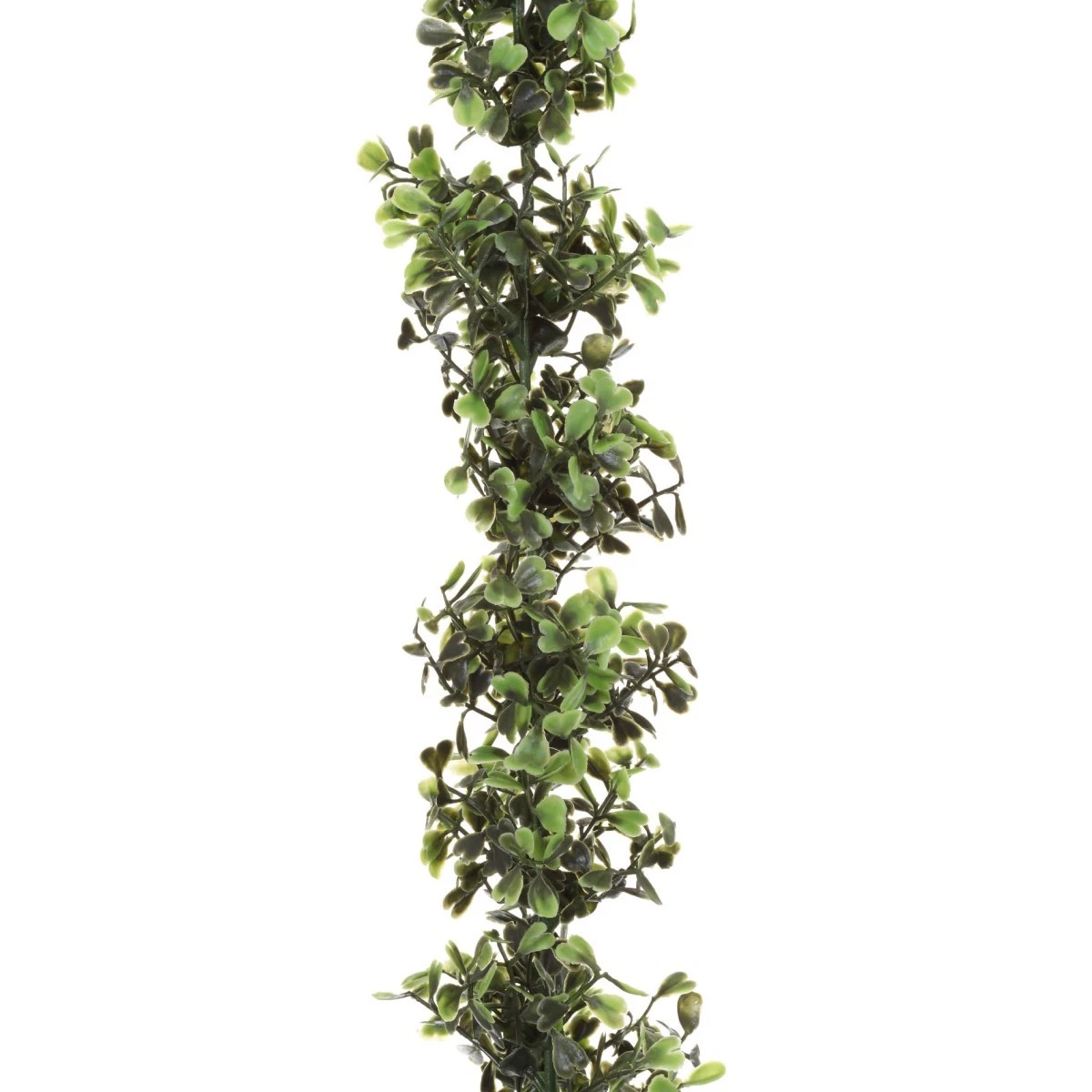 blumenkasten sichtschutz pflanzen robinia-pro PFLANZKASTEN mit SICHTSCHUTZ  robinia24