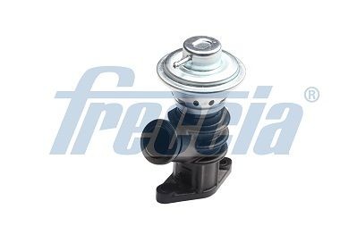 FRECCIA EGR12-159 Egr Valve Fits Citroen C4 MK1 Xsara Estate Coupe Picasso Fiat