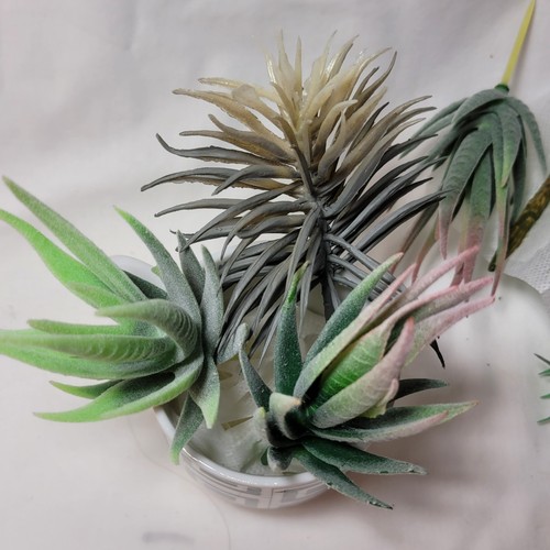 27 Caqpo Artificial Unspotted Realistic Faux succulent Cactus cuttings - Picture 13 of 16