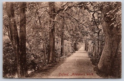 Antique England Postcard OXFORD Addisons Walk Frith Series 1910