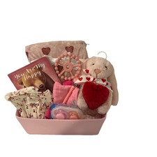 Baby Shower Gift Basket For Girl  New Mom Blanket Plush Book Outfit Essentials