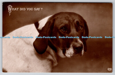 R769095 What Did You Say Hund E A Schwerdtfeger London PM Kingston on Thames