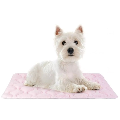 Kistenunterlage Matte Ultra Soft Hundebett für Kiste Katzenmatte Antirutsch 24 Zoll - Bild 1 von 7