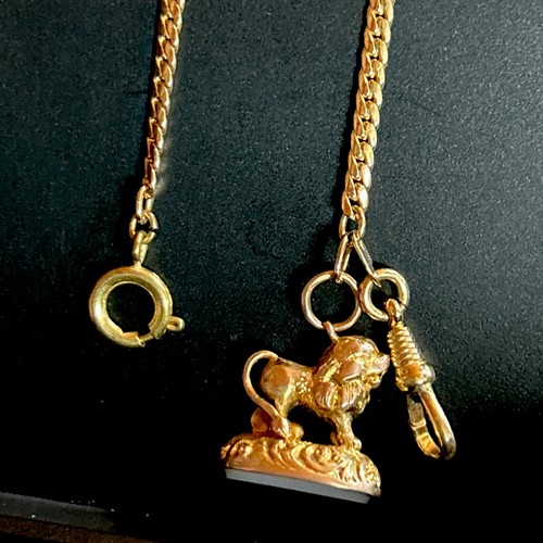 Edwardian 18k Gold 4g- French Rocaille Fob Lion Carnelian Amerikan 14KGF Chain