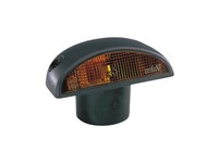 Vignal Blinkleuchte ICDL94 119450 FüR Renault Mascott Kerax 110 120 A00100003