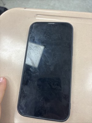 iPhone 13 Pro Max Unlocked