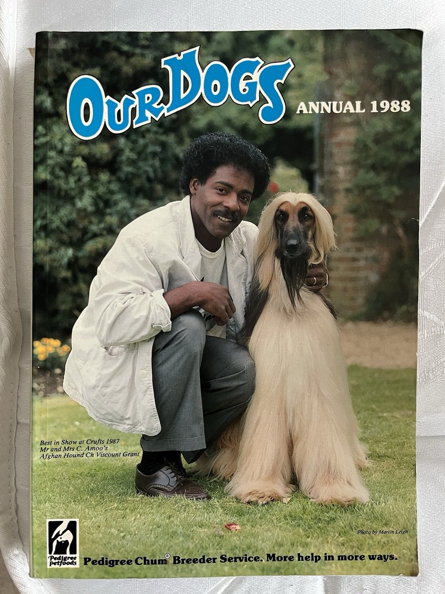 Afghan Hound Crufts 2019 Hounds 2024 What Breed Of Dog Has Won The