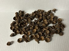 Natural Oak Acorn Caps Lot Dried Craft Supplies for Wreaths, Decor, DIY, Whistle