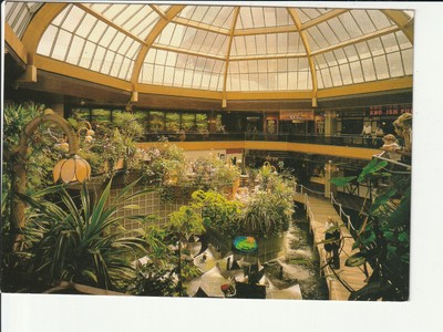 BERLIN...., Tiffany`s  Cafe+Restaurant, Gastraum im Atrium m. Pflanzen....col AK