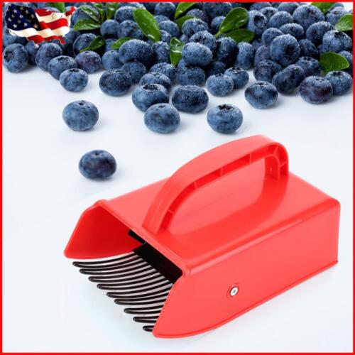 Berry Picker Labor Saving Convenient for Easier Berry Harvester for Blueberries