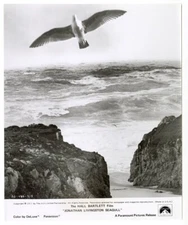 Jonathan Livingston Seagull flying over crashing waves Original 8x10 Photo Snipe