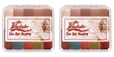 2 Pk Skin Illustrator On Set Fleshtone Mini Palette SFX Pro Makeup Tattoo Cover