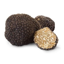 tartufo estivo conservato (Tuber aestivum Vittadini - Fortunati Stocchi