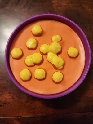 Learning Resources Bowl Of Tomato Soup With Crackers Pretend Play Fun Food L@@K