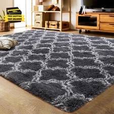 Luxury Shag Area Rug 2X3 Feet Geometric Plush Fluffy Rugs, Extra Soft Carpet Mor