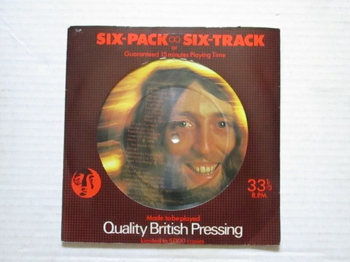 Steve Hillage 6-pack 6-track U.K. import picture disc EP - Picture 3 of 3