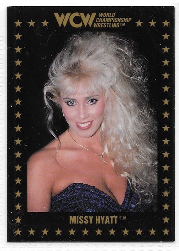 1991 WCW Championship Marketing Singles - Complete Your Set - Sting Ric Flair + - Picture 90 of 127