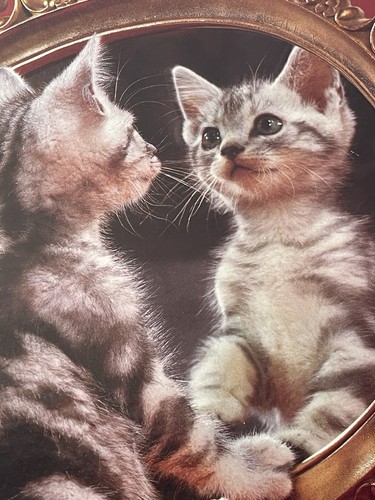 Vintage Sealed Golden 550 Piece Puzzle Of a Kitty Cat In A Mirror-Kitschy Cute - Picture 5 of 10