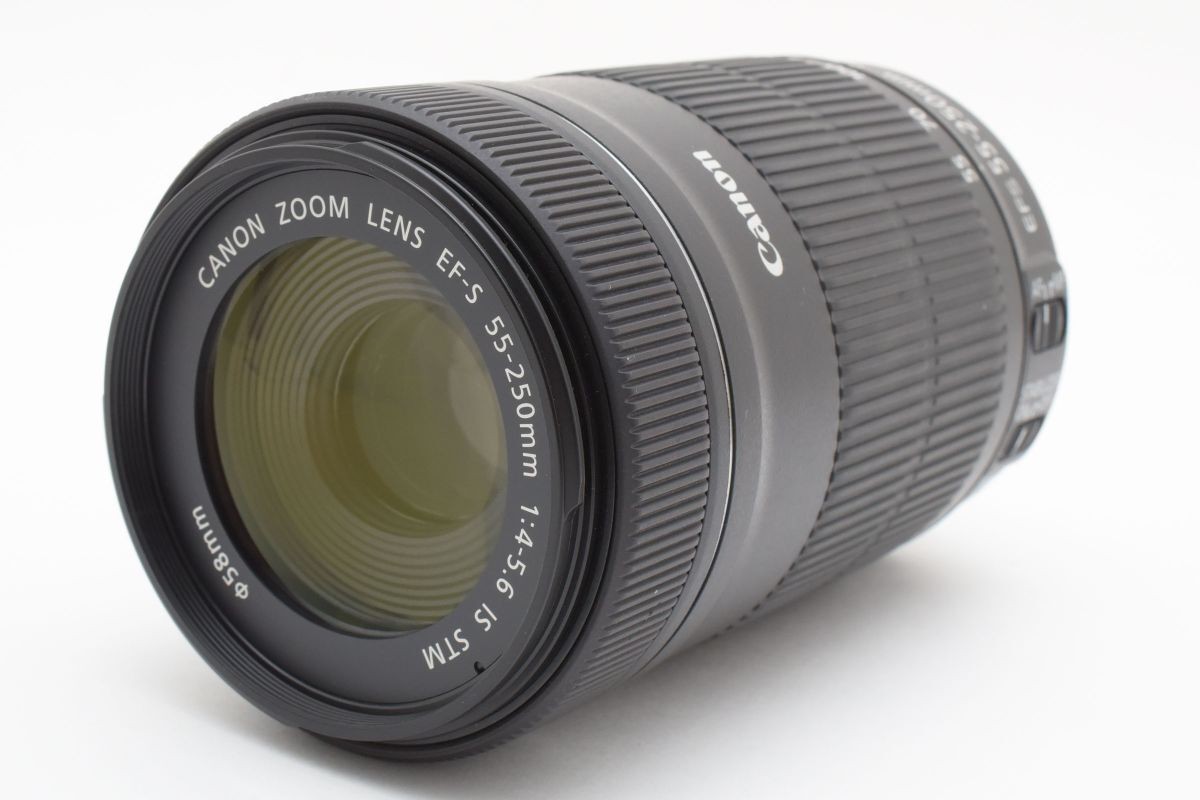 c88 Canon EF-S 55-250mm F4-5.6 IS STM | eBay