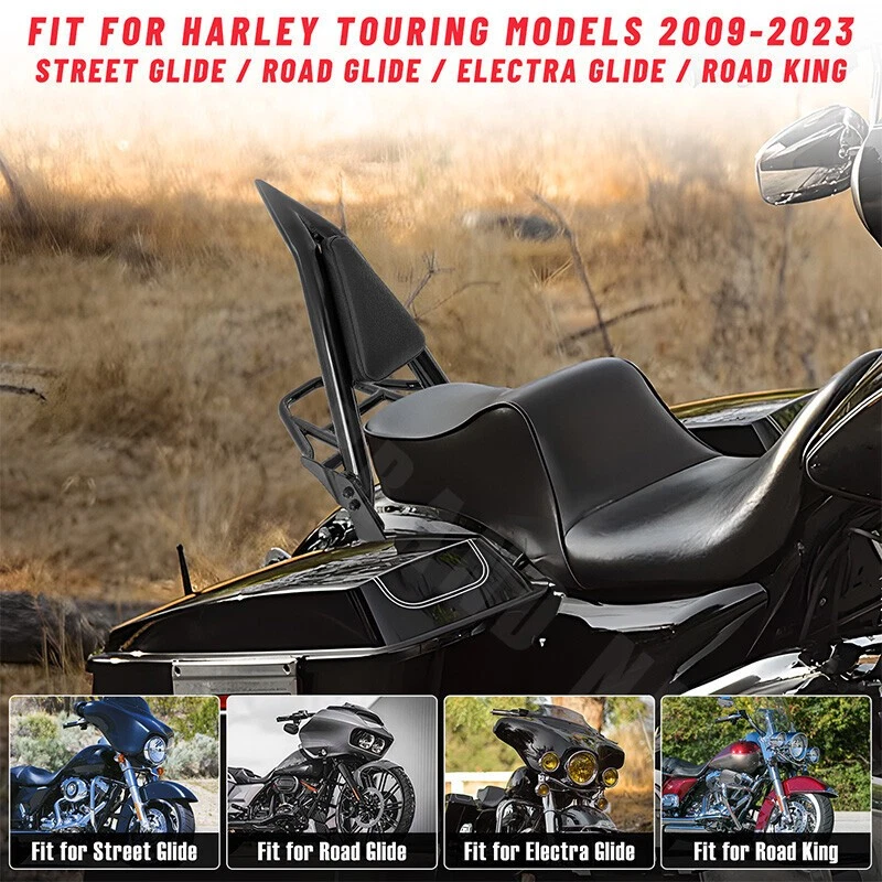 Sissy Bar Backrest w/Luggage Rack Fit For 2004-UP Harley Sportster XL 883 1200 Foto 4 de 4