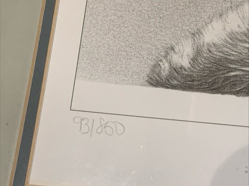 Gary Hodges Limited Edition Signed ‘Arctic Slumber’ of a Polar Bear - Picture 4 of 5