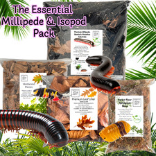 Essential Millipede & Woodlice Set-Up Pack, 4 Item pack