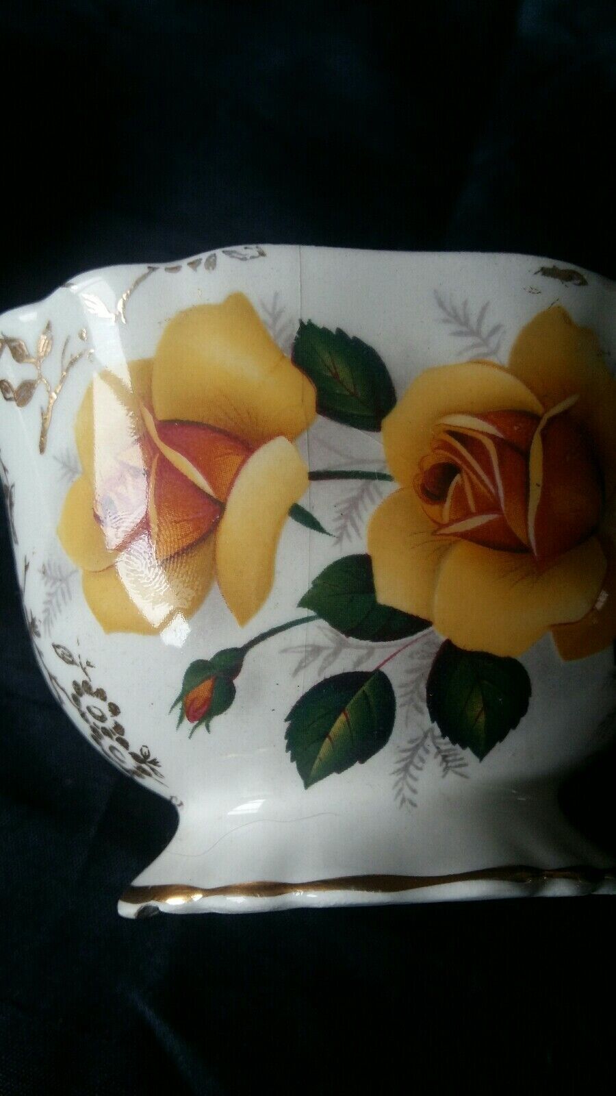 Picture 11 of 12