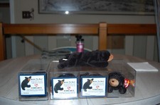 Ty Blackie the Bear Chicago Bears Kids Club Fan Club Beanie Baby Collection