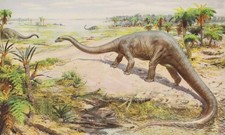 CO WY Prehistoric US Dinosaur DIPLODOCUS VF Color Print. Z Burian 1958 7x12"