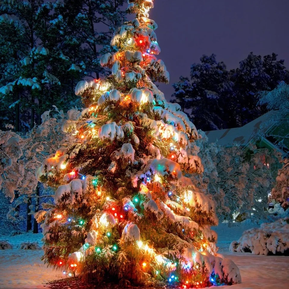 Multicolor Christmas Lights Colorful Christmas String Lights 32.8FT C7 Vintage C - Image 2 of 4