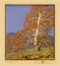 The Sycamore : Gustave Baumann : 13x19 Archival Art Print