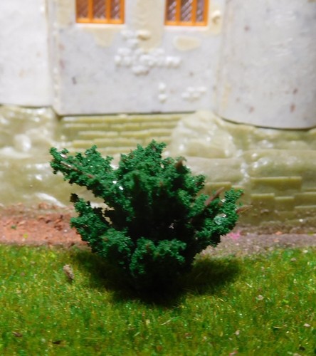 50 Dark Green Bushes, Shrubs, 38 mm High - Picture 7 of 12