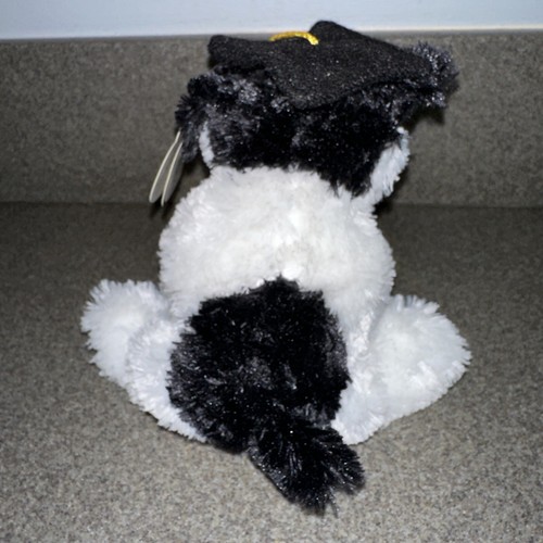 TY Beanie Baby - GRATULIERT dem Abschlusshund (Walgreen's excl) (6 Zoll) - MWMTs - Bild 3 von 3