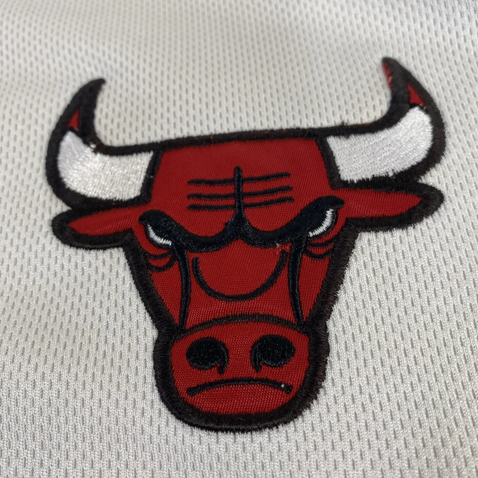 Camiseta de tiro de baloncesto de la NBA Nike Team Chicago Bulls de colección de los 90 para hombre XL LEER Foto 4 de 4