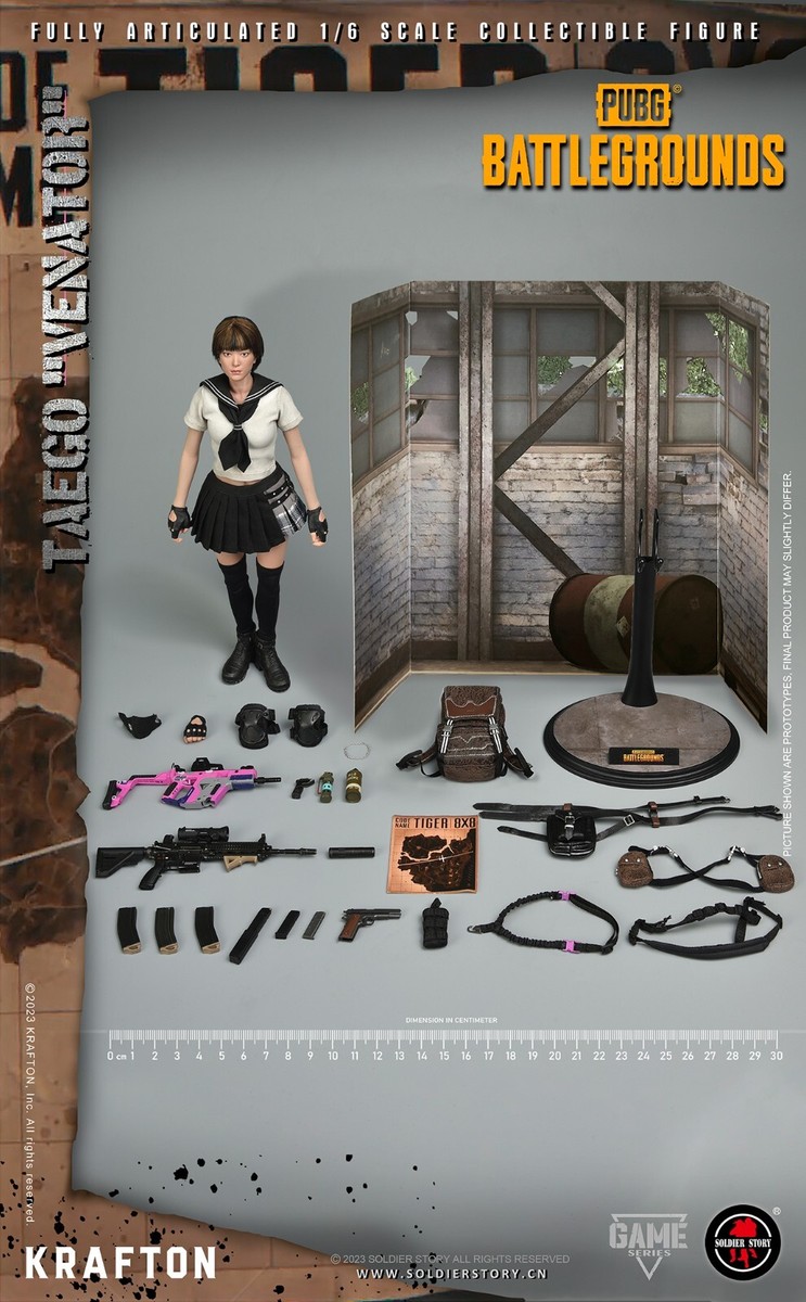 その他 Soldier Story 1/6 PUBG BATTLEGROUNDS 1:6 Soldier Story PUBG Battlegrounds Female Taego Vector