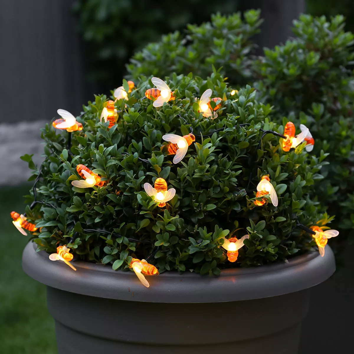2 5m Battery Power Outdoor Bumble Bee LED Fairy Lights Garden