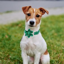 St.Patrick's Day Clover Dog Collar with Flower Tie,Green Abstract Clover Soft