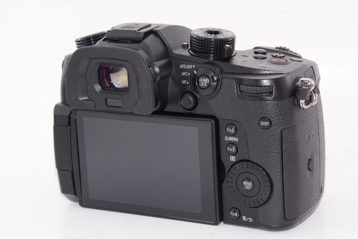 N.MINT/5675shots] Panasonic Lumix GH5 Camera Body From JAPAN