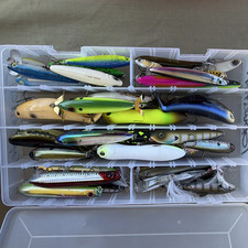 Heddon Crown + lot mixte leurres de pêche basse en plastique dur topwater avec boîte ~18 ct +