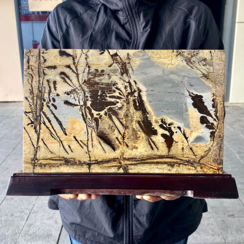 13.1LB Beautiful Natural Chinese Dendritic Limestone Picture Stone Guohua - Rare - Picture 6 of 10