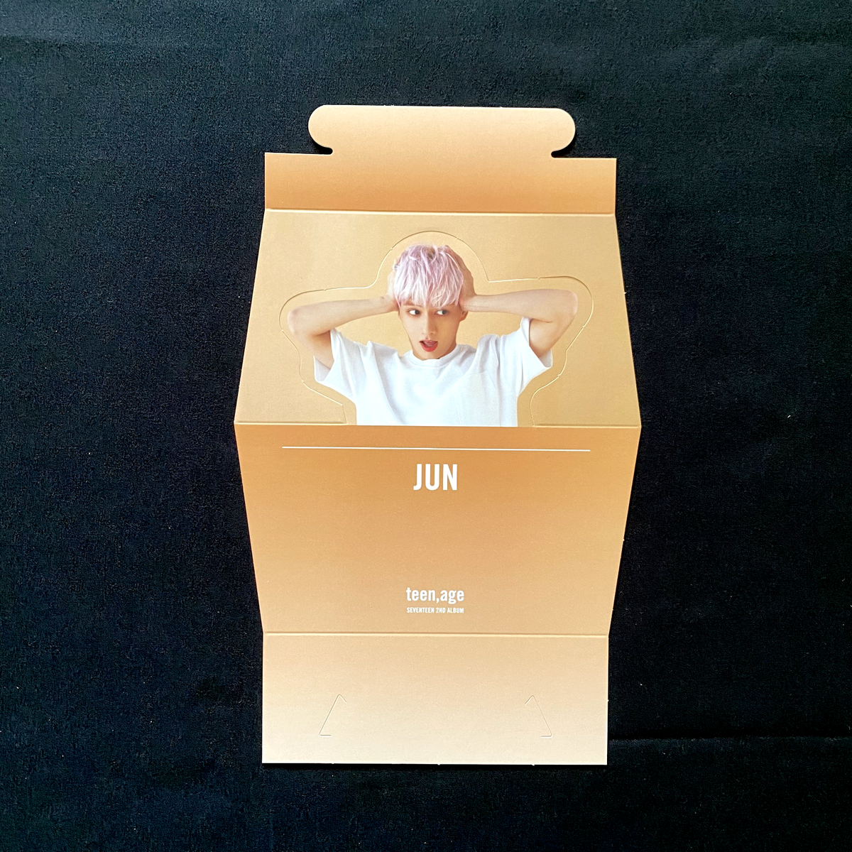 SEVENTEEN 2nd album TEEN AGE RS ver. Jun set + Photo card +