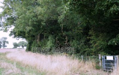 PHOTO  FOX WOOD CALVERTON NOTTS. THE WOODBOROUGH PARK FARM ESTATE IS BEHIND THE