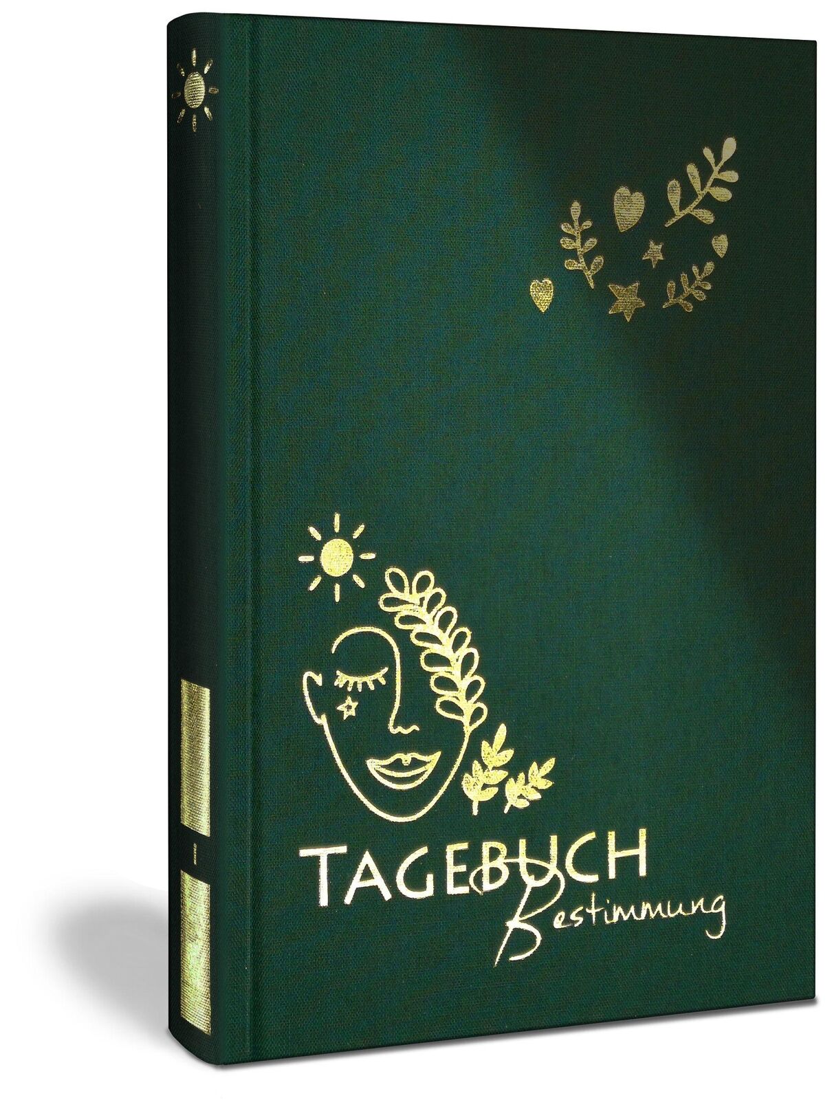 Thumbnail - Erkenne Die Offenen Türen, Die Dich Zu Deiner Bestimmung Führen | Buch