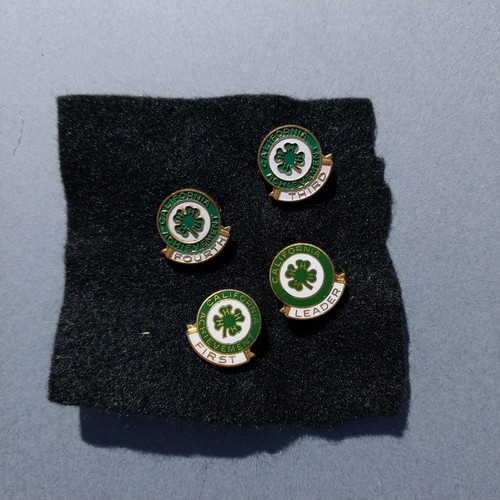 California CA 4H Agriculture Achievement Hat Jacket Landyard Award Pins Pin - Picture 1 of 2