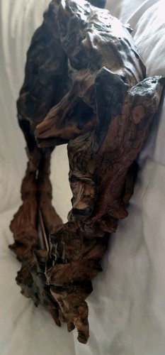 Driftwood Wall Mirror Vintage Rustic Natural Frame - Picture 18 of 23