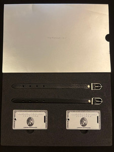 American Express Luggage Tag | eBay